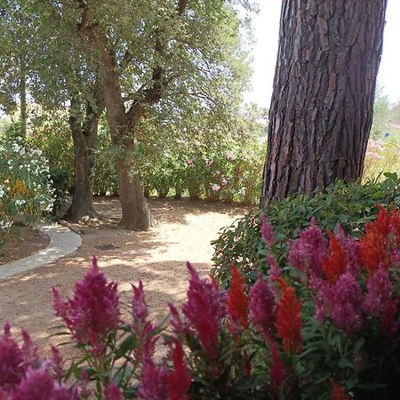 Les Issambres Plages 300M La Garonnette-Plage Εξωτερικό φωτογραφία